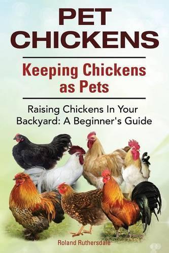 Pet Chickens. Keeping Chickens as Pets. Raising Chickens In Your Backyard: A Beginners Guide.