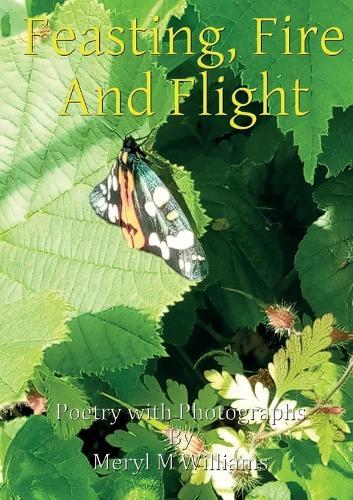 Feasting, Fire And Flight