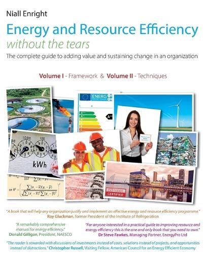 Energy and Resource Efficiency without the tears: The complete guide to to adding value and sustaining change in an organization.