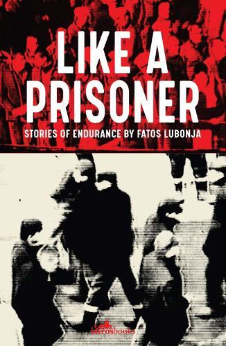 Like a Prisoner: Stories of Endurance