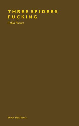 Three Spiders Fucking