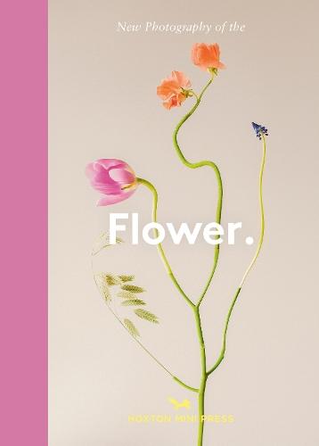 Flower.: New Photography of the