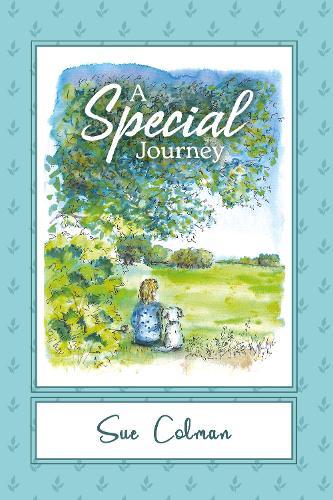 A Special Journey