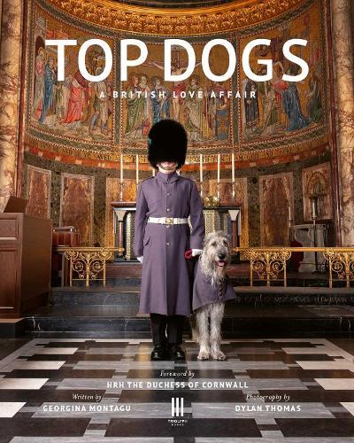 Top Dogs: A British Love Affair