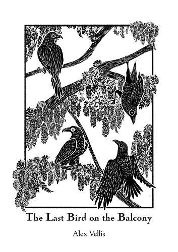 The Last Bird on the Balcony