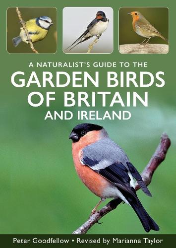 A Naturalist's Guide to Garden Birds of Britain & Ireland