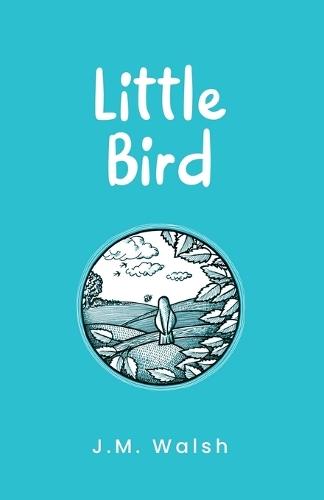 Little Bird: A literary parable about confidence, resilience and inner transformation