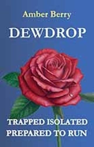 Dewdrop: A gripping psychological thriller with shocking twists and turns