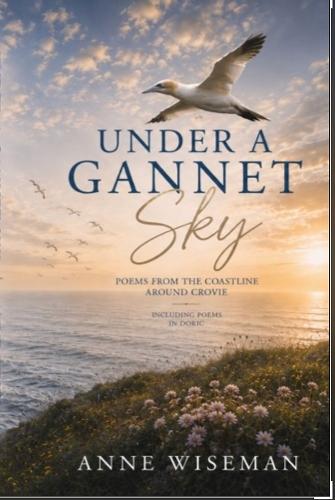 Under Under a Gannet Sky