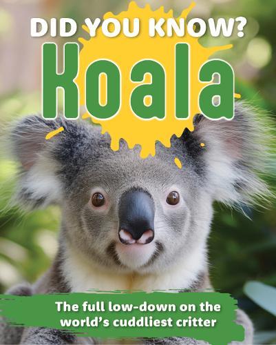 Did You Know? Koalas: The full low-down on the world's cuddliest critter