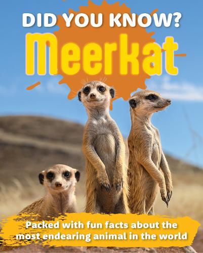 Did You Know? Meerkat: Packed with fun facts about the most endearing animal in the world