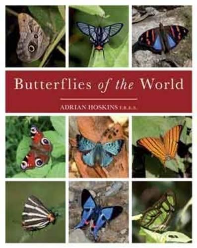 Butterflies Of The World: A celebration of the immense beauty and diversity of butterflies
