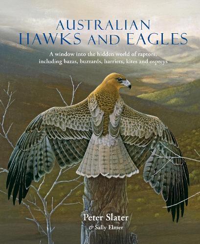 Australian Hawks and Eagles: A window into the hidden world of raptors, including bazas, buzzards harriers, kites and ospreys