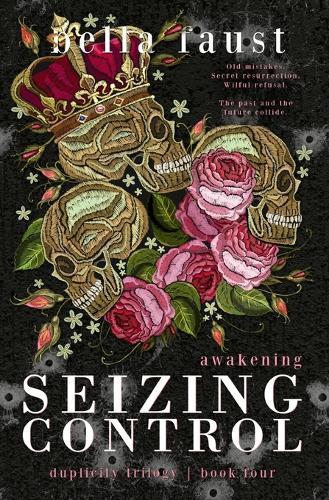 Seizing Control Awakening: a dark and angsty love triangle