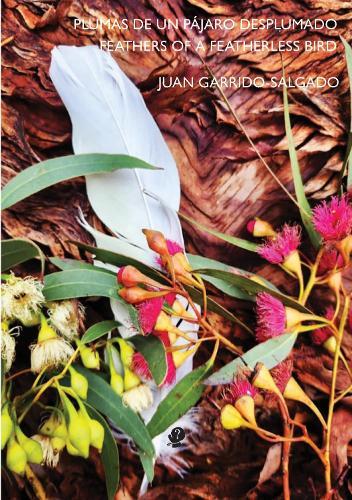 Feather of a Featherless Bird