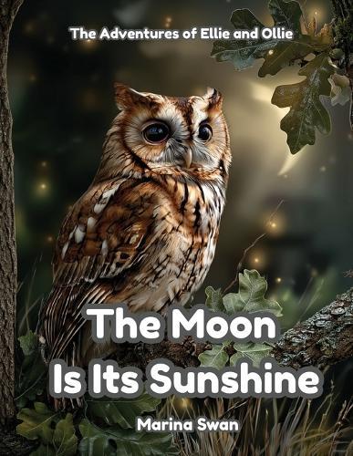 The Moon Is Its Sunshine