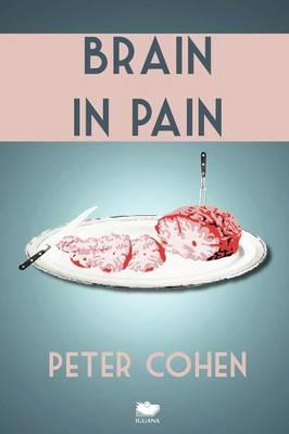 Brain in Pain: A Wounded Healer's Heart-Wrenching and Heart-Warming Guide to Schizophrenia