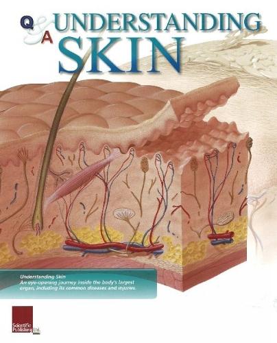 Understanding Skin Flip Chart