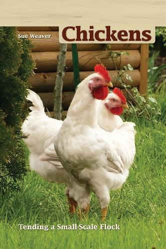 Chickens: Tending a Small-Scale Flock