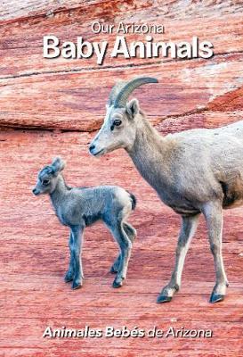 Our Arizona: Baby Animals: Baby Animals