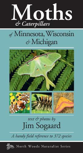 Moths & Caterpillars of Minnesota, Wisconsin & Michigan