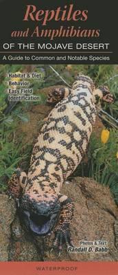 Reptiles and Amphibians of the Mojave Desert: A Guide to Common Notable Species