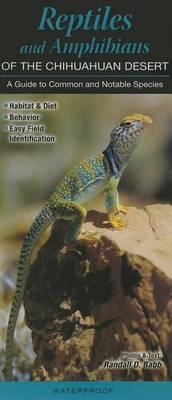 Reptiles and Amphibians of the Chihuahuan Desert: A Guide to Common Notable Species