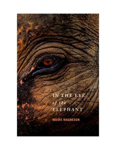 In the Eye of the Elephant