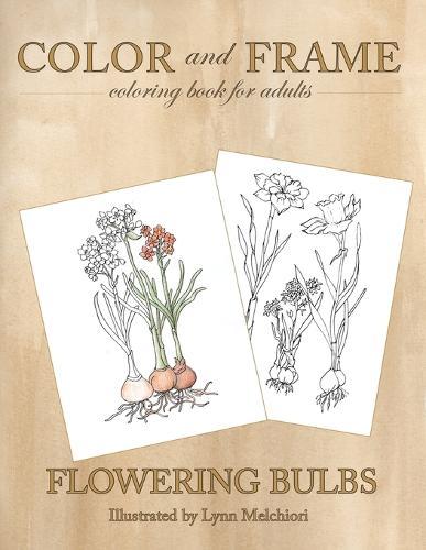 Color and Frame: Flowering Bulbs