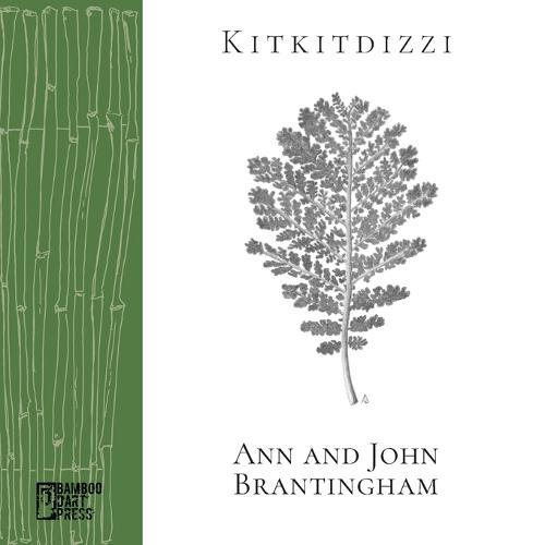 Kitkitdizzi: A Non-Linear Memoir of the High Sierra