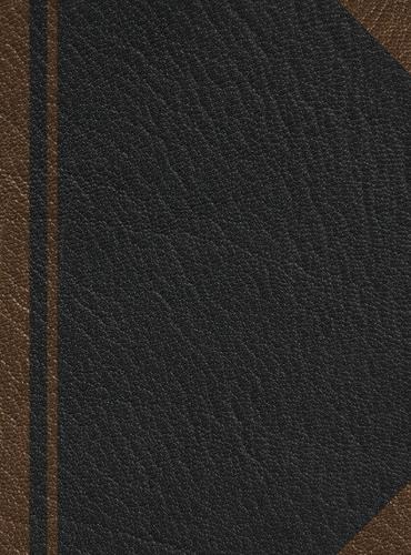 Notary Journal: Hardbound Public Record Book for Men Women, Logbook for Notarial Acts, 390 Entries, 8.5"" x 11"", Black Brown Blank Cover