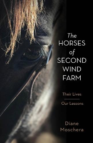 The Horses of Second Wind Farm: Their Lives  Our Lessons