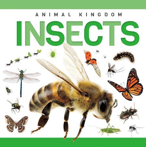 Insects