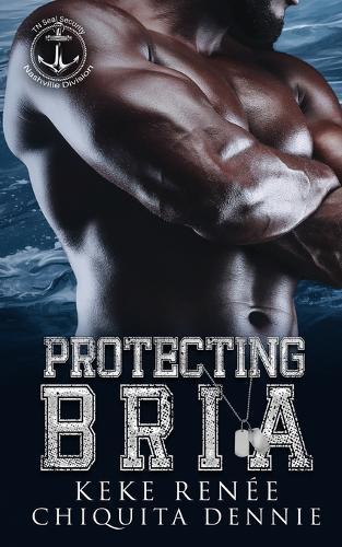 Protecting Bria: A Forced Proximity Bodyguard Romance