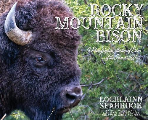 Rocky Mountain Bison: A Photographic Collection of Bison of the American West