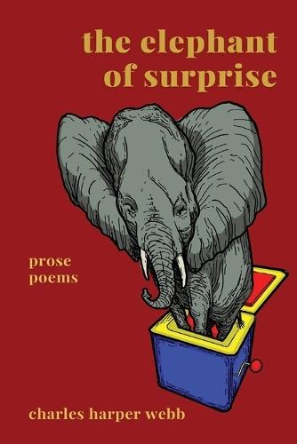 The Elephant of Surprise