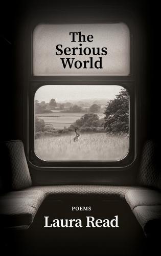 The Serious World