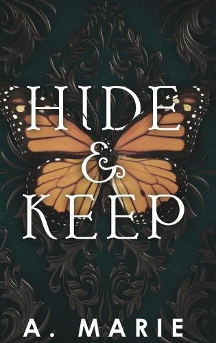 Hide and Keep: An enemies to lovers bodyguard romance