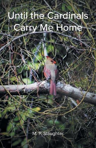 Until the Cardinals Carry Me Home