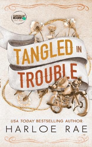 Tangled in Trouble: A Grumpy Single Dad Small Town Standalone