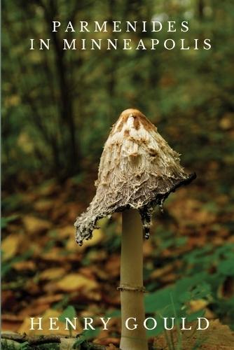 Parmenides in Minneapolis