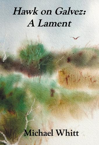 Hawk on Galvez: A Lament