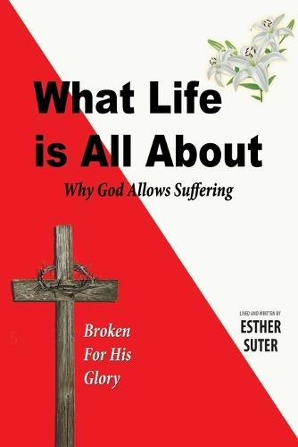 What Life is All About: Why God Allows Suffering