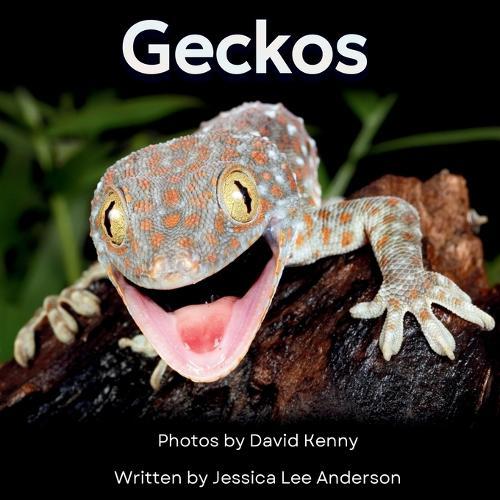 Geckos: Get to Know More About These Vocal Lizards!