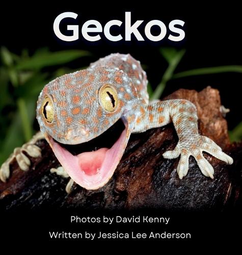 Geckos: Get to Know More About These Vocal Lizards!