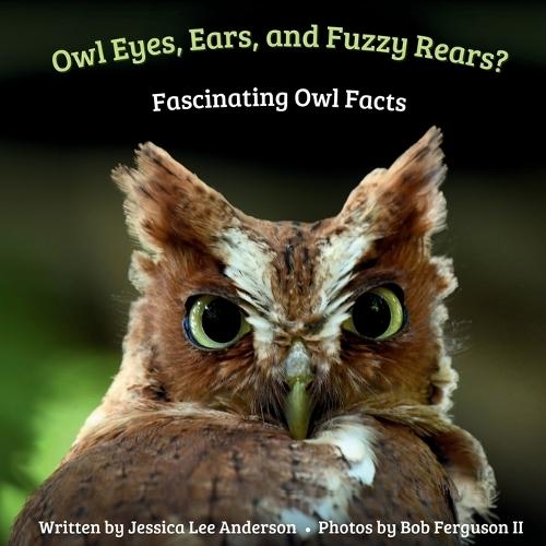 Owl Eyes, Ears, and Fluffy Rears?: Fascinating Owl Facts