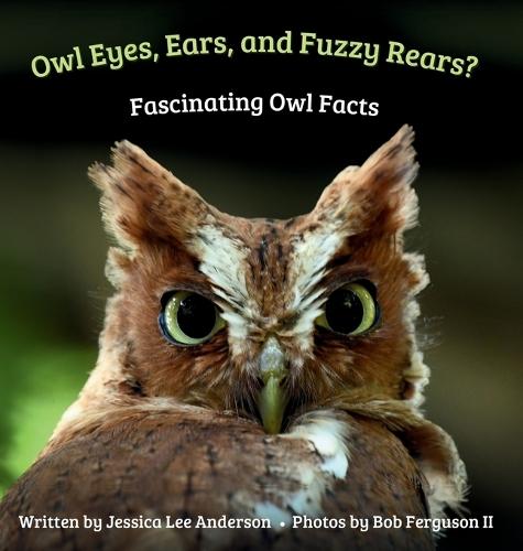 Owl Eyes, Ears, and Fluffy Rears? Fascinating Owl Facts