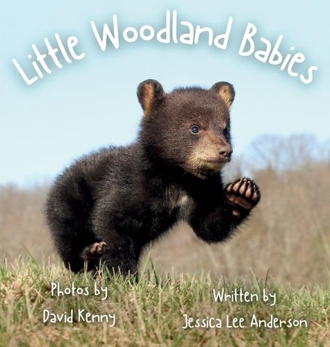 Little Woodland Babies