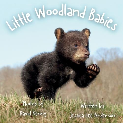 Little Woodland Babies