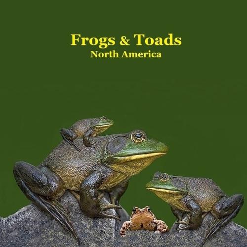 Frogs and Toads of North America Kids Book: Great Children's Book about the types of North American Frogs and Toads